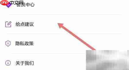 给软件隐藏大师提建议技巧