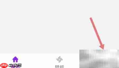 给软件隐藏大师提建议技巧