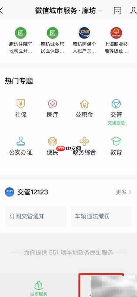 微信查药品信息指南