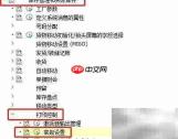 SAP MM库存打印版本设置
