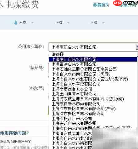 支付宝一键缴水电燃气费