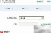 支付宝一键缴水电燃气费