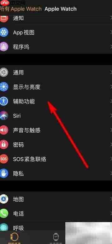 Apple Watch灰度设置方法
