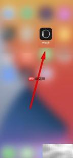 Apple Watch灰度设置方法