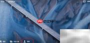 DJI Fly固件更新检查指南