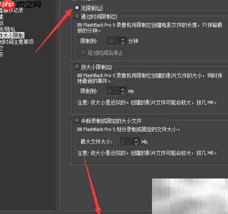 BB FlashBack Pro 5无限制设置