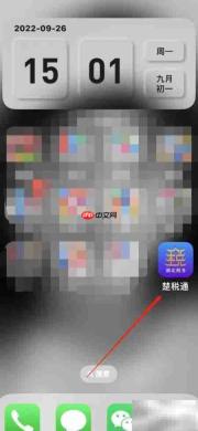 楚税通查看课件指南