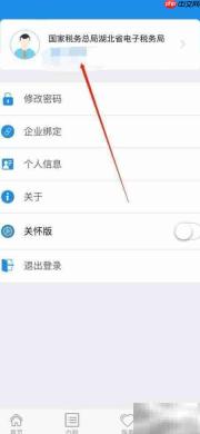 楚税通查看课件指南