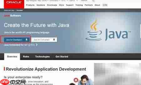 Java下载与版本指南
