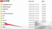 CAD字体放入fonts无效?