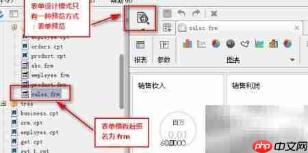 Web报表表单预览方法