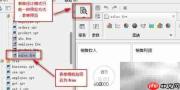Web报表表单预览方法