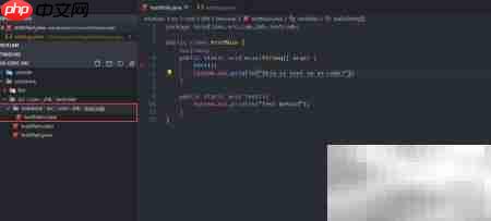 VS Code运行Java主类错误