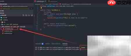 VS Code运行Java主类错误