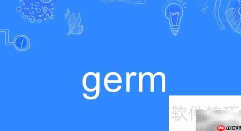 高中英语选修二重点词汇