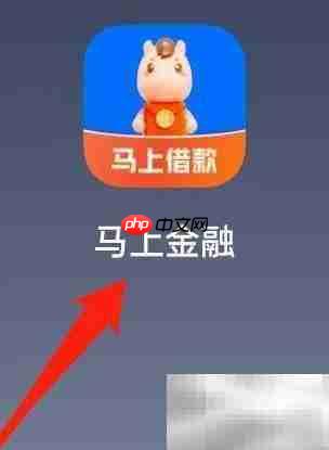 马上金融合同查询指南