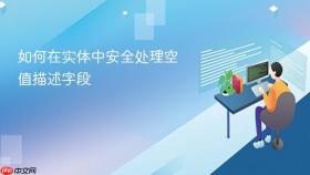 如何在实体中安全处理空值描述字段