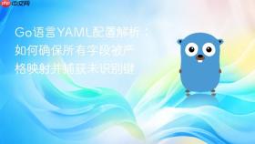 Go语言YAML配置解析：如何确保所有字段被严格映射并捕获未识别键
