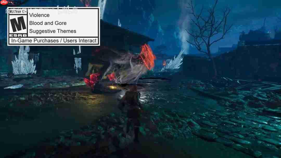 《仁王3》DLC“庆安地狱变”武器介绍:忍盾矛