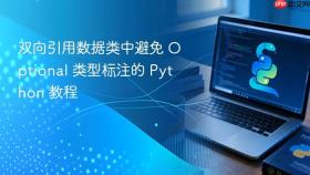 双向引用数据类中避免 Optional 类型标注的 Python 教程