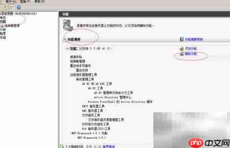 删除Win2008远程管理工具