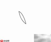 五角叶子绘画步骤详解