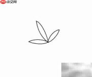 五角叶子绘画步骤详解