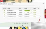 爱奇艺播放器下载指南