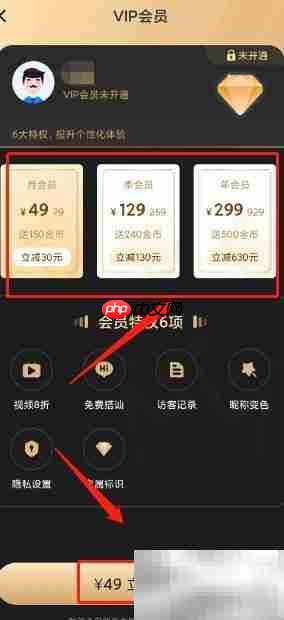 伊糖VIP会员开通指南