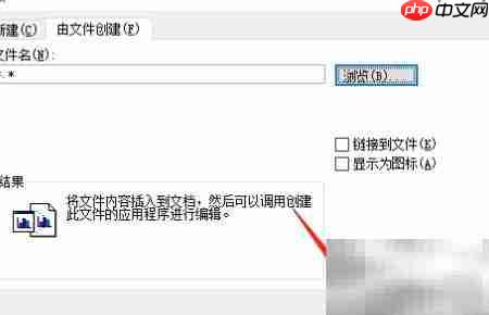 Word中插入数据对象方法