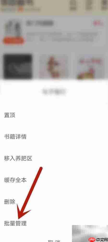 饭团追书批量删书教程