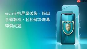 vivo手机屏幕破裂,简单自修教程,轻松解决屏幕碎裂问题