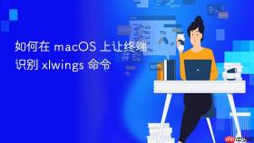 如何在 macOS 上让终端识别 xlwings 命令