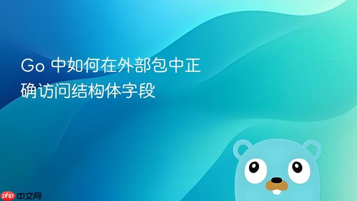 Go 中如何在外部包中正确访问结构体字段