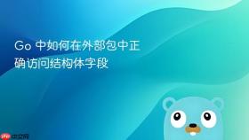 Go 中如何在外部包中正确访问结构体字段