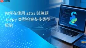 如何在使用 attrs 时兼顾 mypy 类型检查与多类型校验