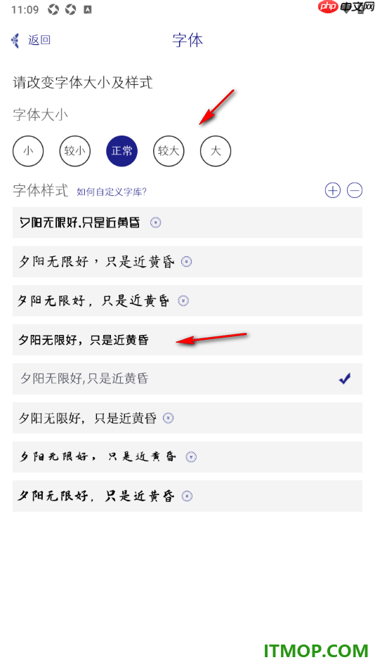 每日记手机版设置更改界面字体大小和字体样式的方法