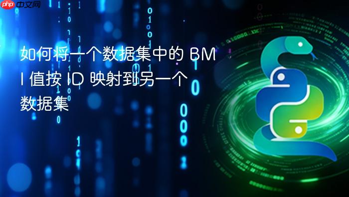 如何将一个数据集中的 BMI 值按 ID 映射到另一个数据集