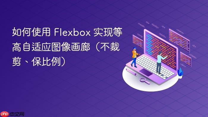 如何使用 Flexbox 实现等高自适应图像画廊(不裁剪、保比例)