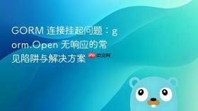 GORM 连接挂起问题:gorm.Open 无响应的常见陷阱与解决方案