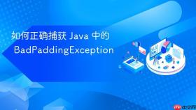 如何正确捕获 Java 中的 BadPaddingException
