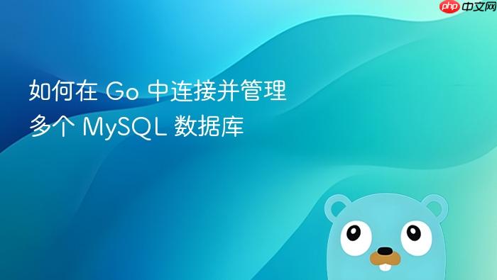 如何在 Go 中连接并管理多个 MySQL 数据库