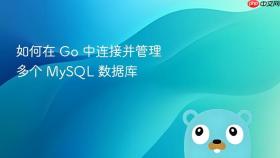 如何在 Go 中连接并管理多个 MySQL 数据库