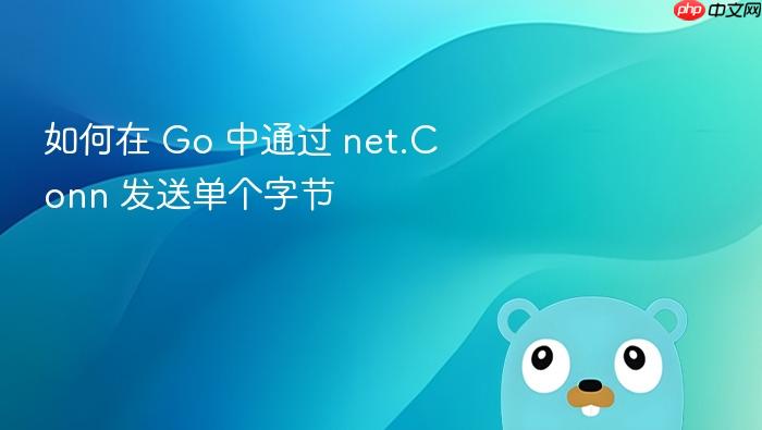 如何在 Go 中通过 net.Conn 发送单个字节