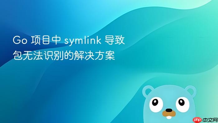 Go 项目中 symlink 导致包无法识别的解决方案