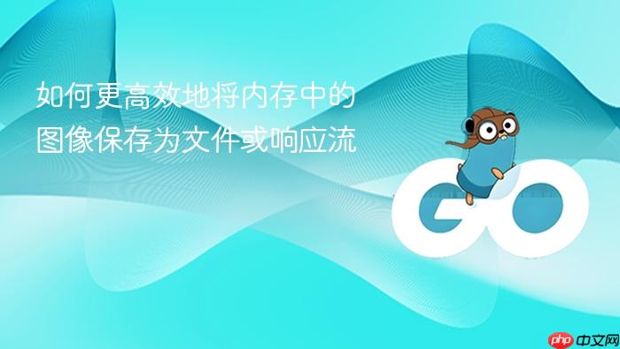 如何更高效地将内存中的图像保存为文件或响应流