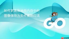 如何更高效地将内存中的图像保存为文件或响应流