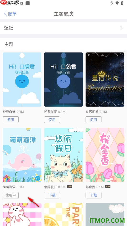 口袋记账手机版设置自定义更换界面主题壁纸的方法
