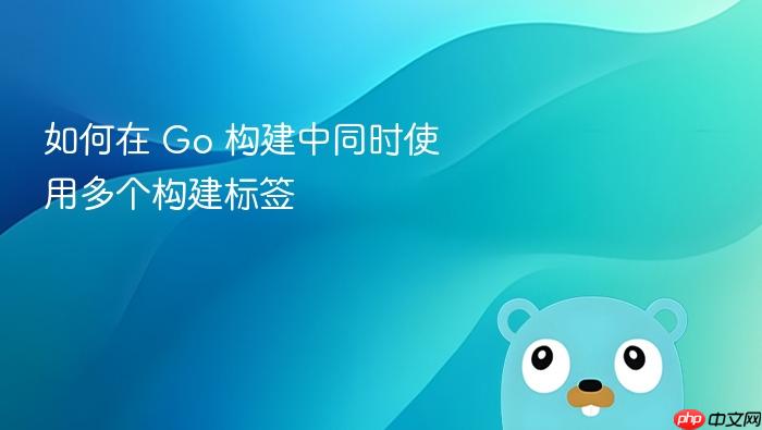 如何在 Go 构建中同时使用多个构建标签