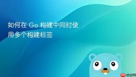 如何在 Go 构建中同时使用多个构建标签